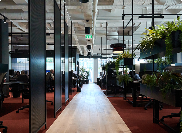 Group Information Statement